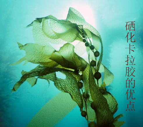 硒化卡拉膠作為有機硒的優點在哪里？